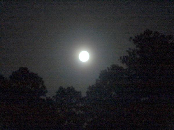 夜空にまんまるのお月様が出ている写真